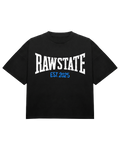 RAW CLASSIC BOXY T