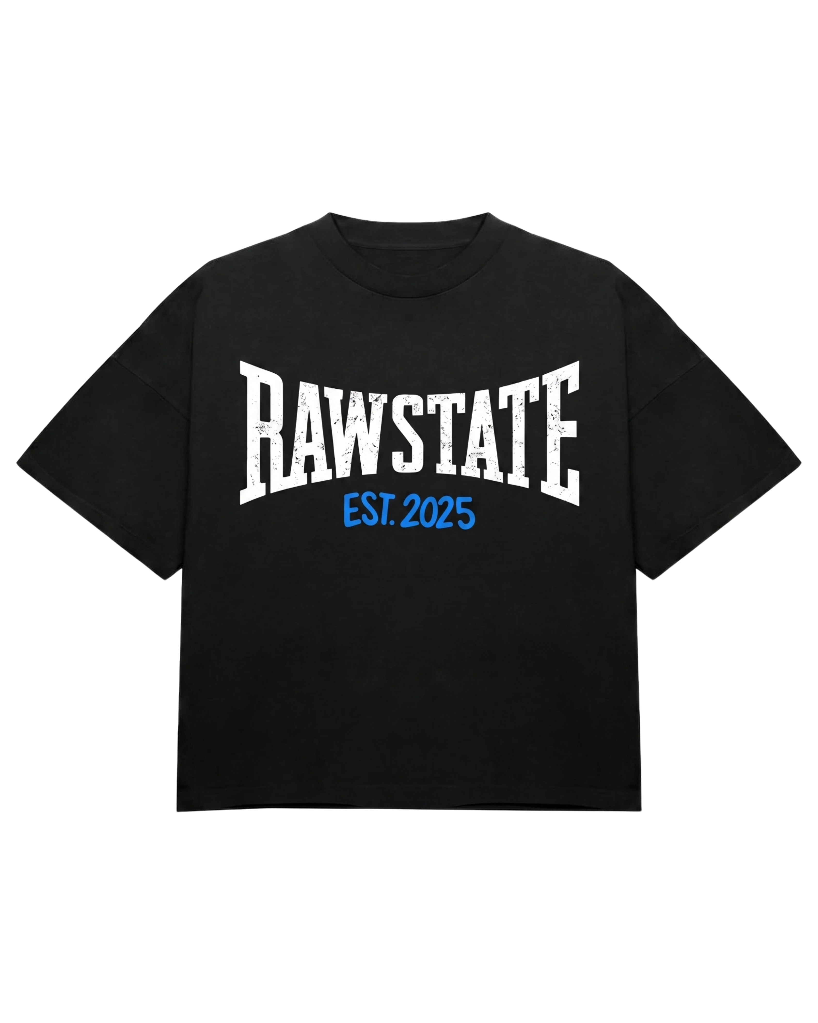 RAW CLASSIC BOXY T
