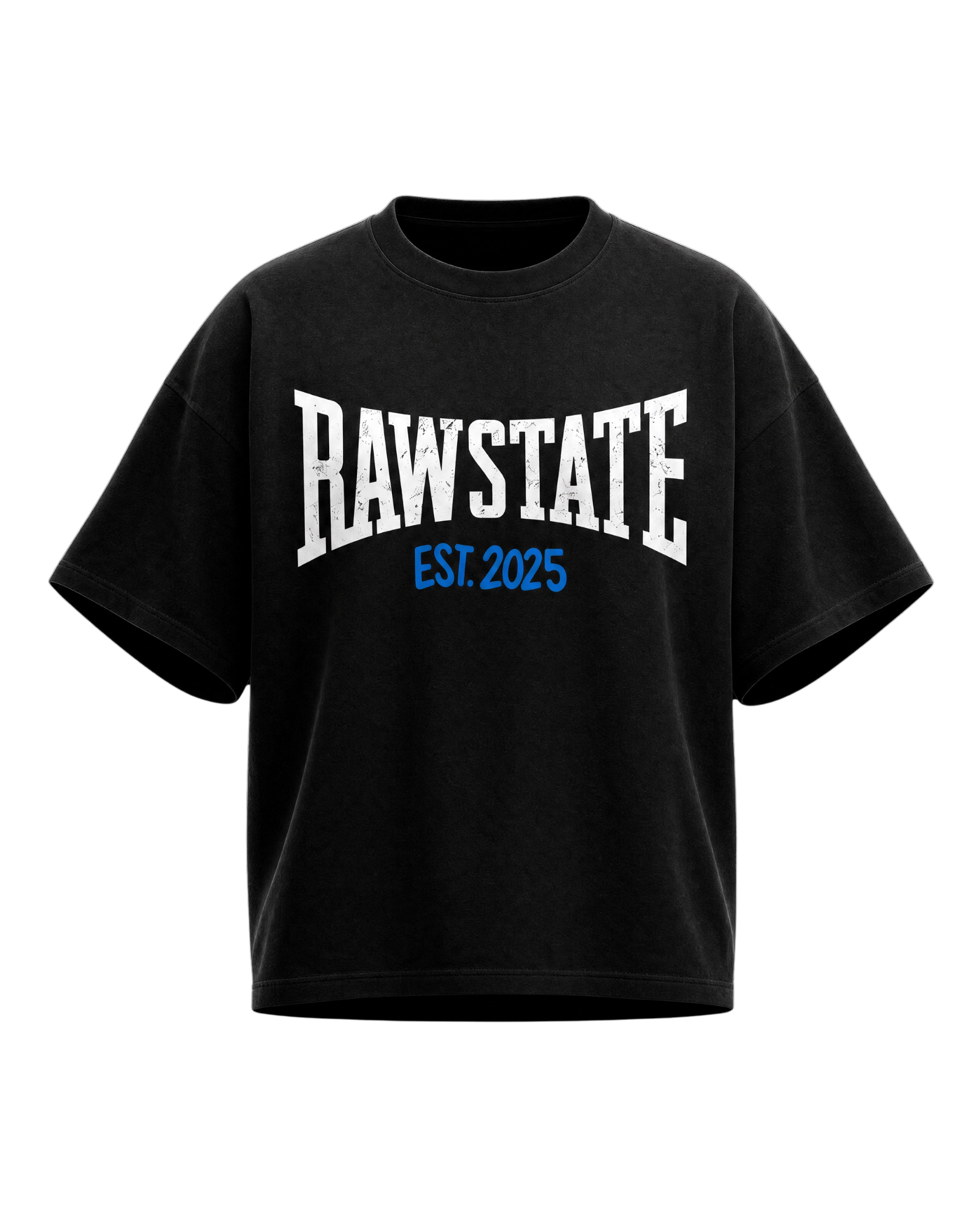 RAW CLASSIC BOXY T